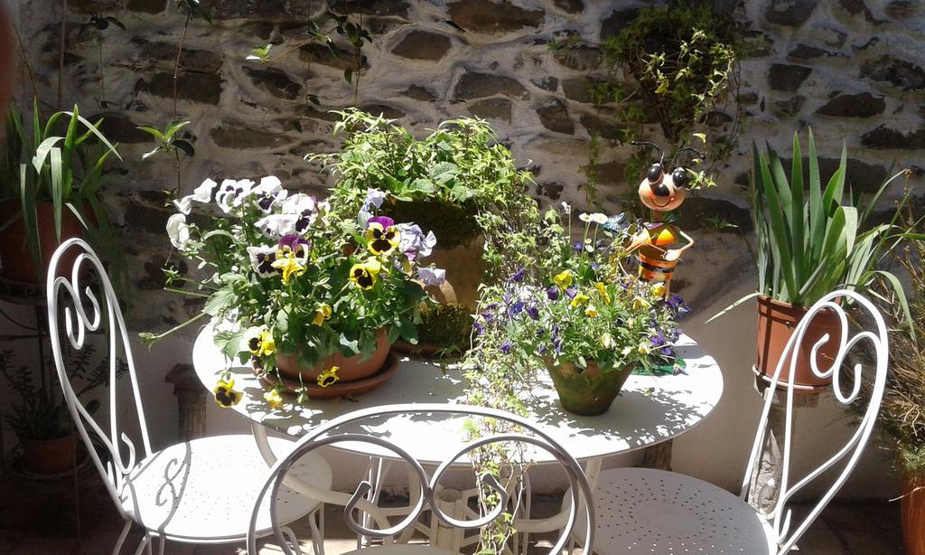 Casa Med Holiday Home Isolabona Bagian luar foto